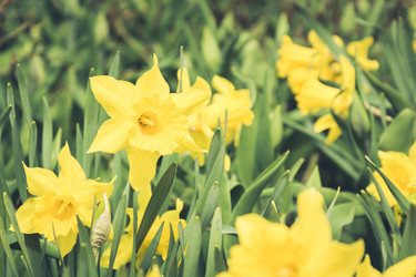 Similar image 20228948