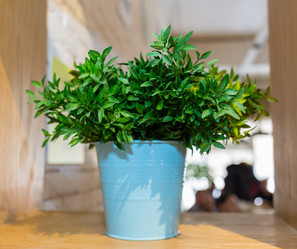 Similar image 20227117