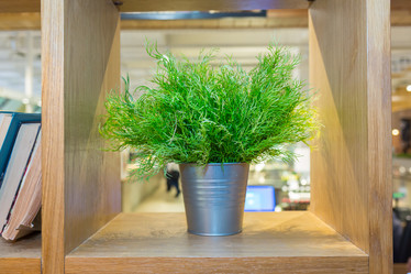 Similar image 20227173