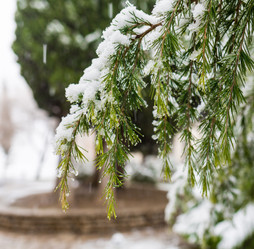 Similar image 20227171