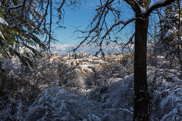 Similar image 20227276