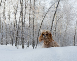 Similar image 20235048