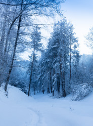 Similar image 20235077