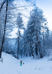 Similar image 20235080