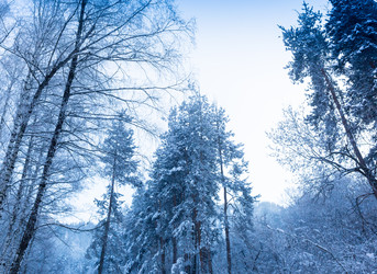 Similar image 20235035