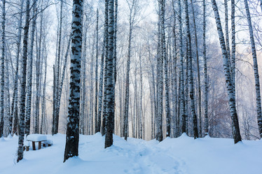 Similar image 20235036