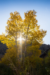 Similar image 20227067