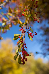 Similar image 20227116