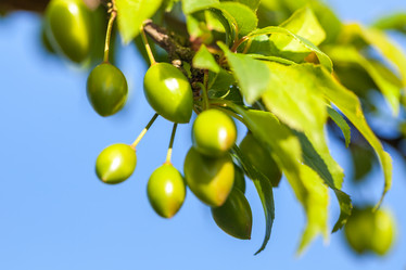 Similar image 20296670