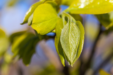 Similar image 20296674