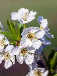 Similar image 20296678