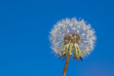 Similar image 20296664