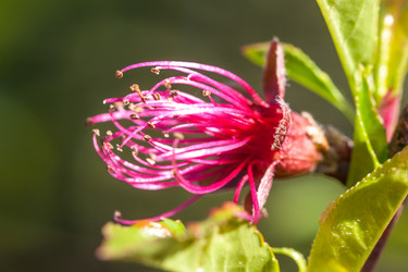 Similar image 20296668