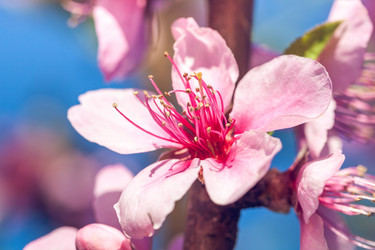 Similar image 20296671