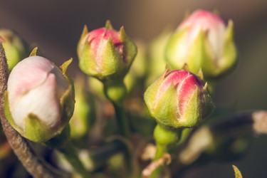 Similar image 20296673