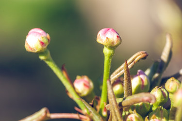 Similar image 20296675