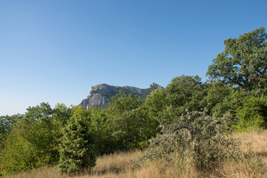 Similar image 20231214