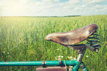 Similar image 20231215