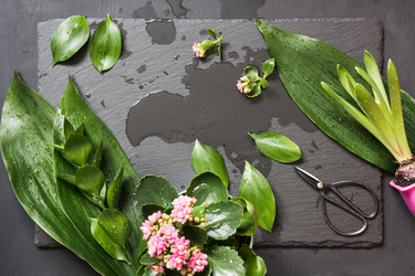 Similar image 20231220