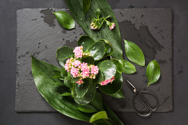 Similar image 20231221