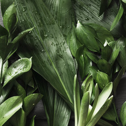 Similar image 20231222