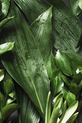 Similar image 20231223