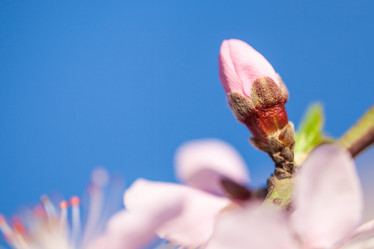 Similar image 20296843