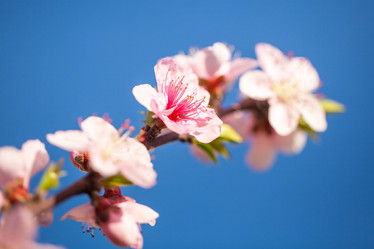 Similar image 20296844