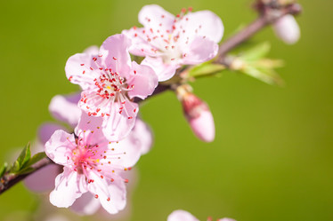 Similar image 20296846