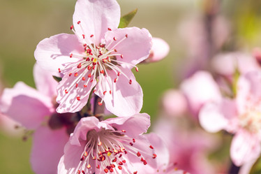 Similar image 20296847