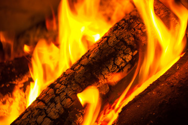 Similar image 20270922