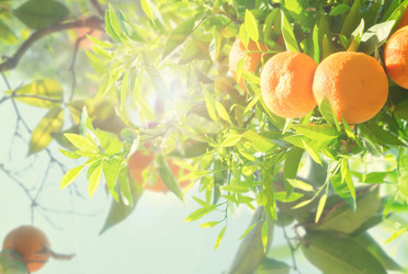 Similar image 20299408