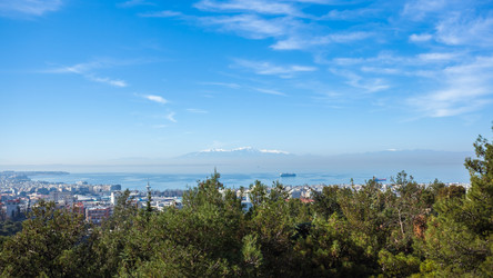 Similar image 20296684