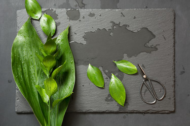 Similar image 20231257