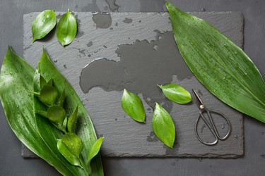 Similar image 20231258