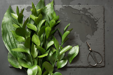 Similar image 20231260