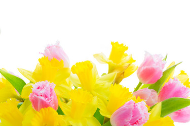 Similar image 20299087