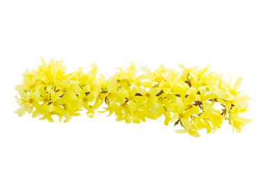 Similar image 20298625