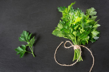 Similar image 20231273