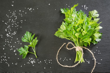 Similar image 20231274