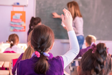 Similar image 20296865