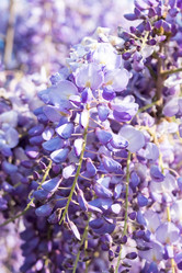 Similar image 20270723