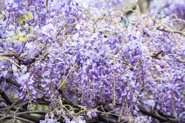 Similar image 20270872