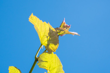 Similar image 20296741