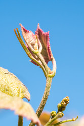 Similar image 20296751