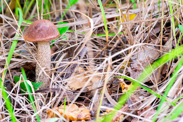 Similar image 20298215