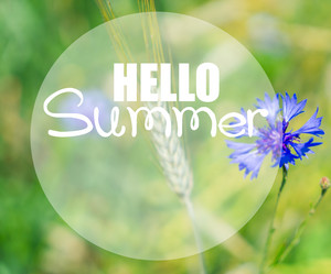 Similar image 20298499