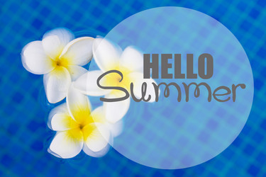 Similar image 20298524