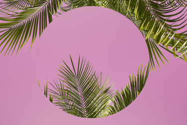 Similar image 20299054