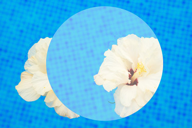 Similar image 20299284